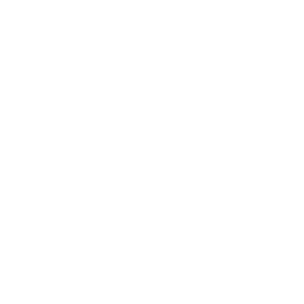 WordPress White